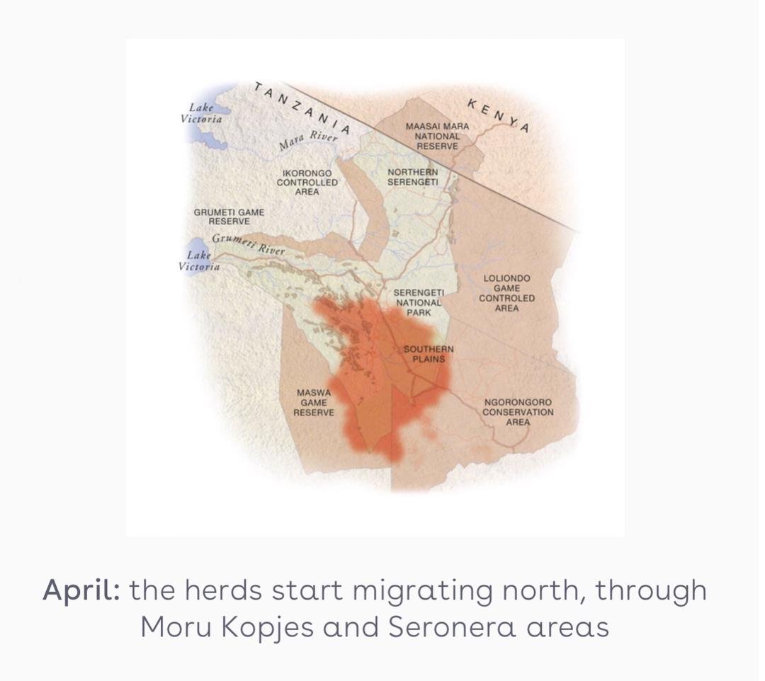 Wildebeest Migration Map April
