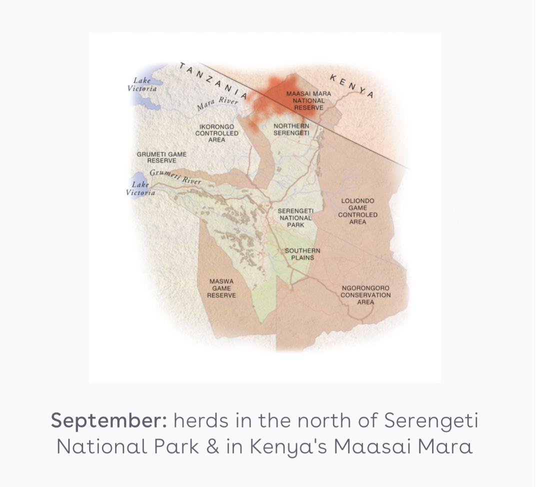 Wildebeest Migration Map September