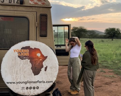 Young Lion Safaris Guest with sunrise