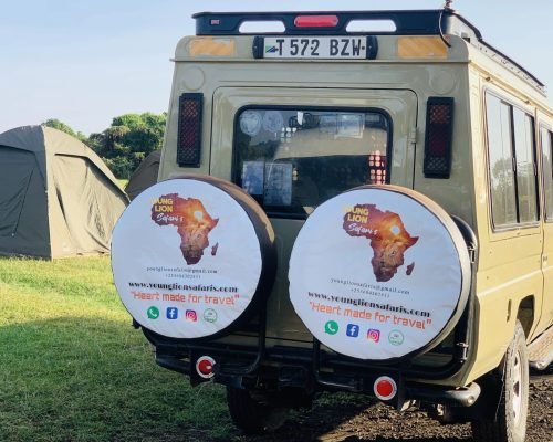 Budget Camping Safari in Serengeti, tanzania