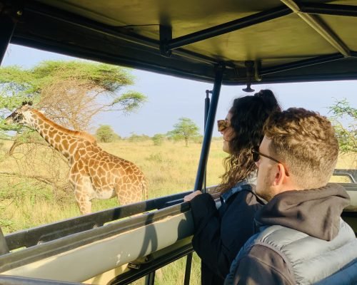 wildlife-safaris
